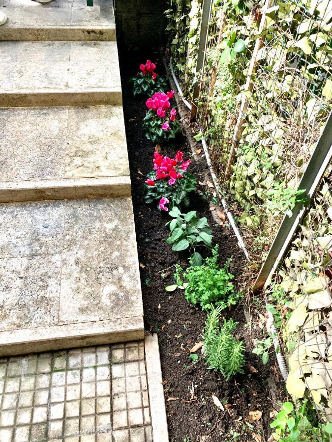 Vatican Garden Home Ρώμη Εξωτερικό φωτογραφία